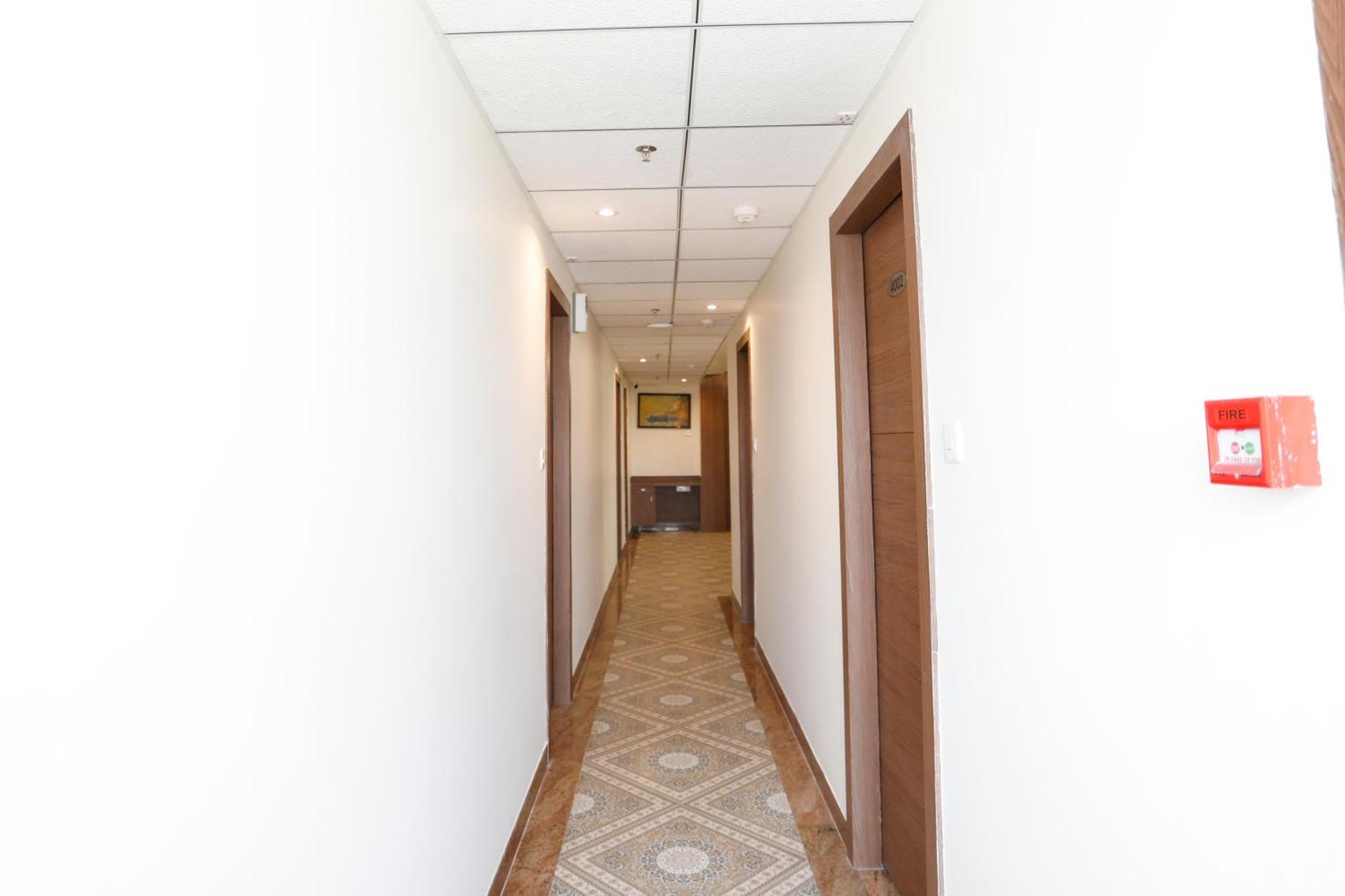 Dolphin International Hotel 3*