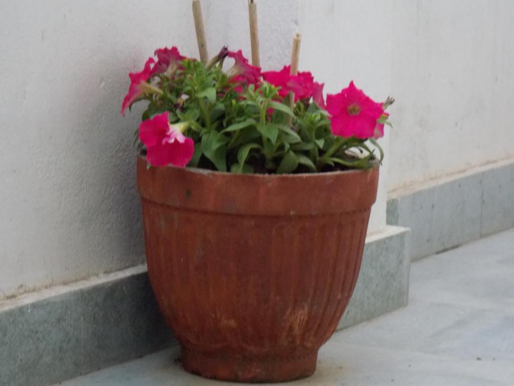 Inn Welcome At Ganges Varanasi