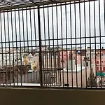 Shri Kailash Pati Guest House- Opposite Kashi Vishwanath Temple