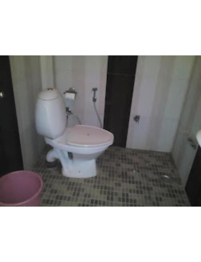 Homestay Palace,