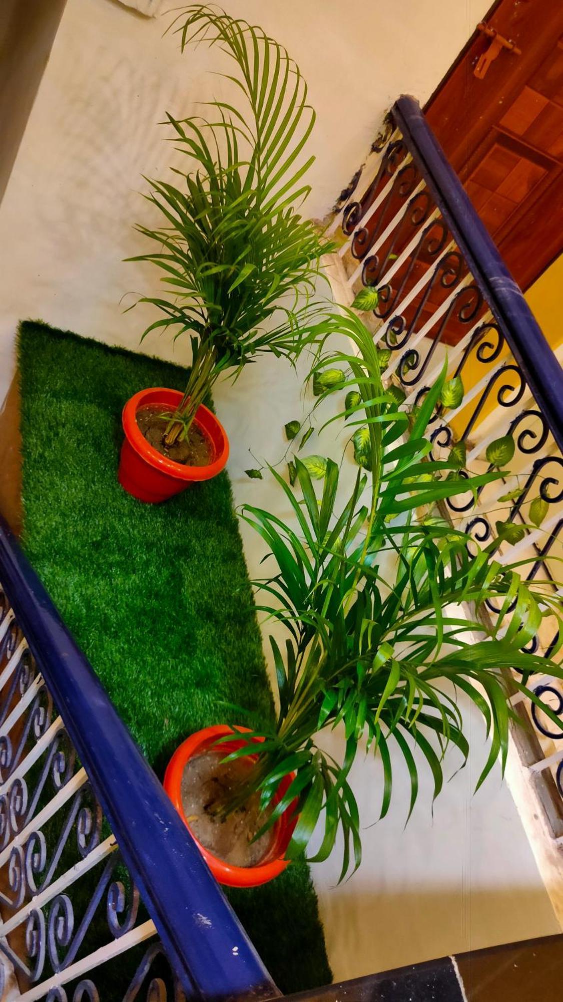 Sk Residency Guest house *