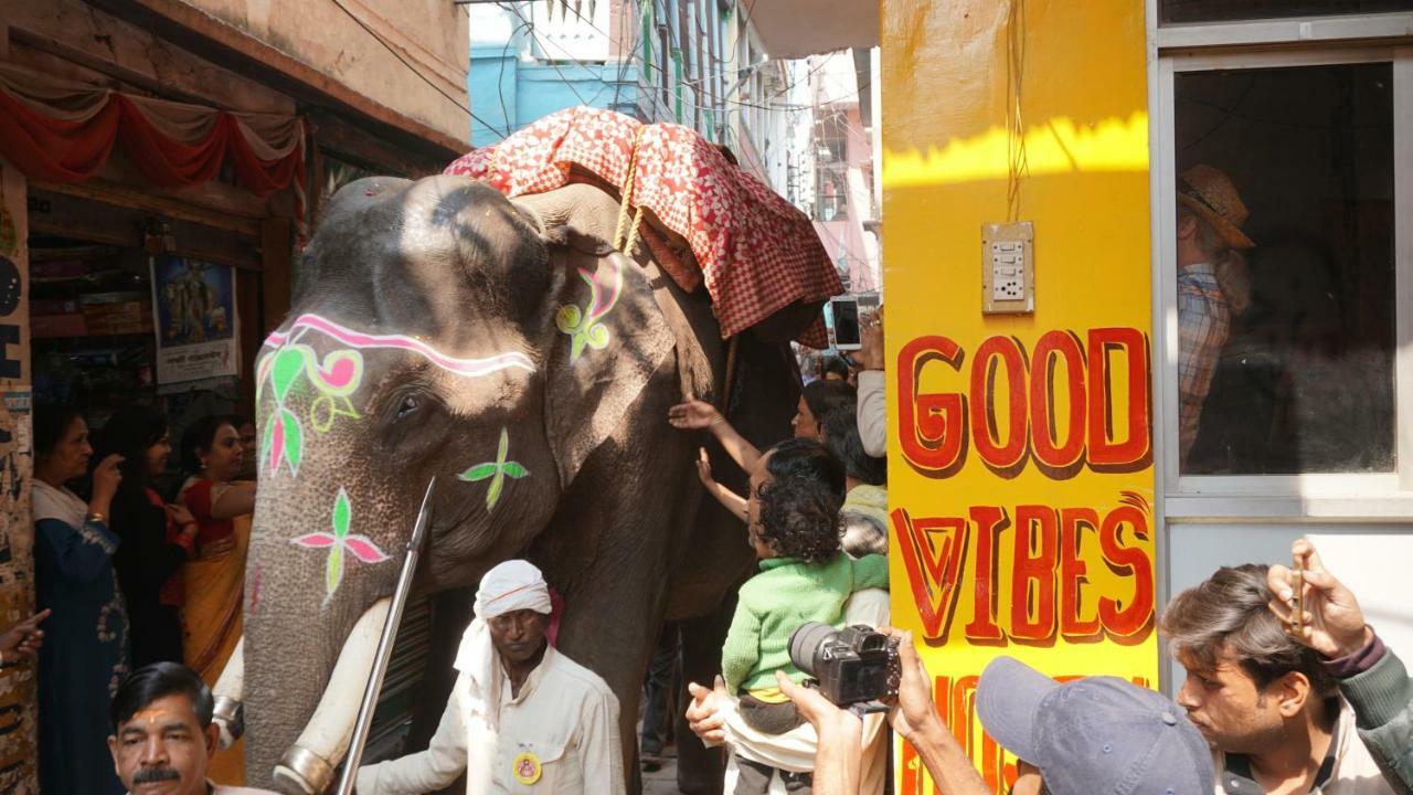 Good Vibes Hostel *
