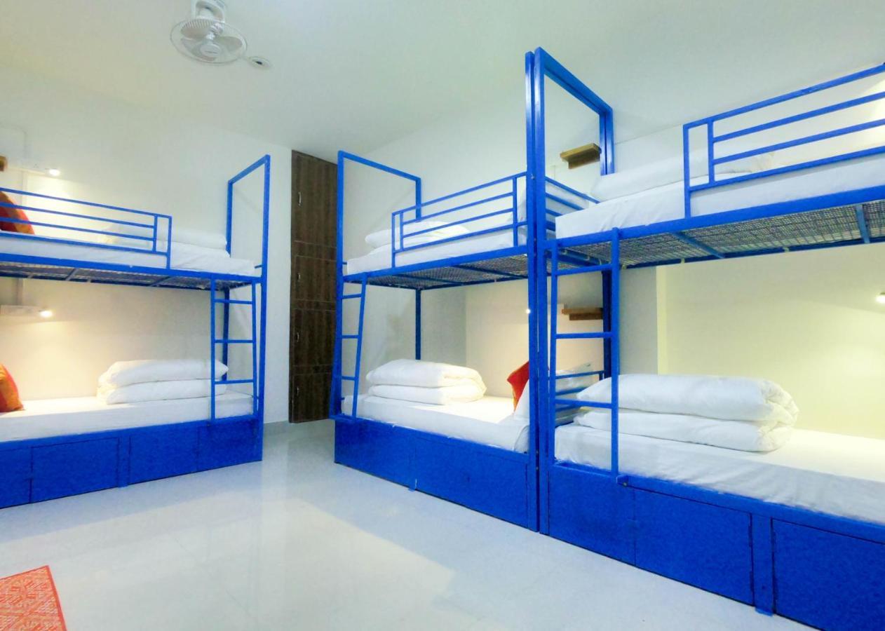 Live Free Hostel *