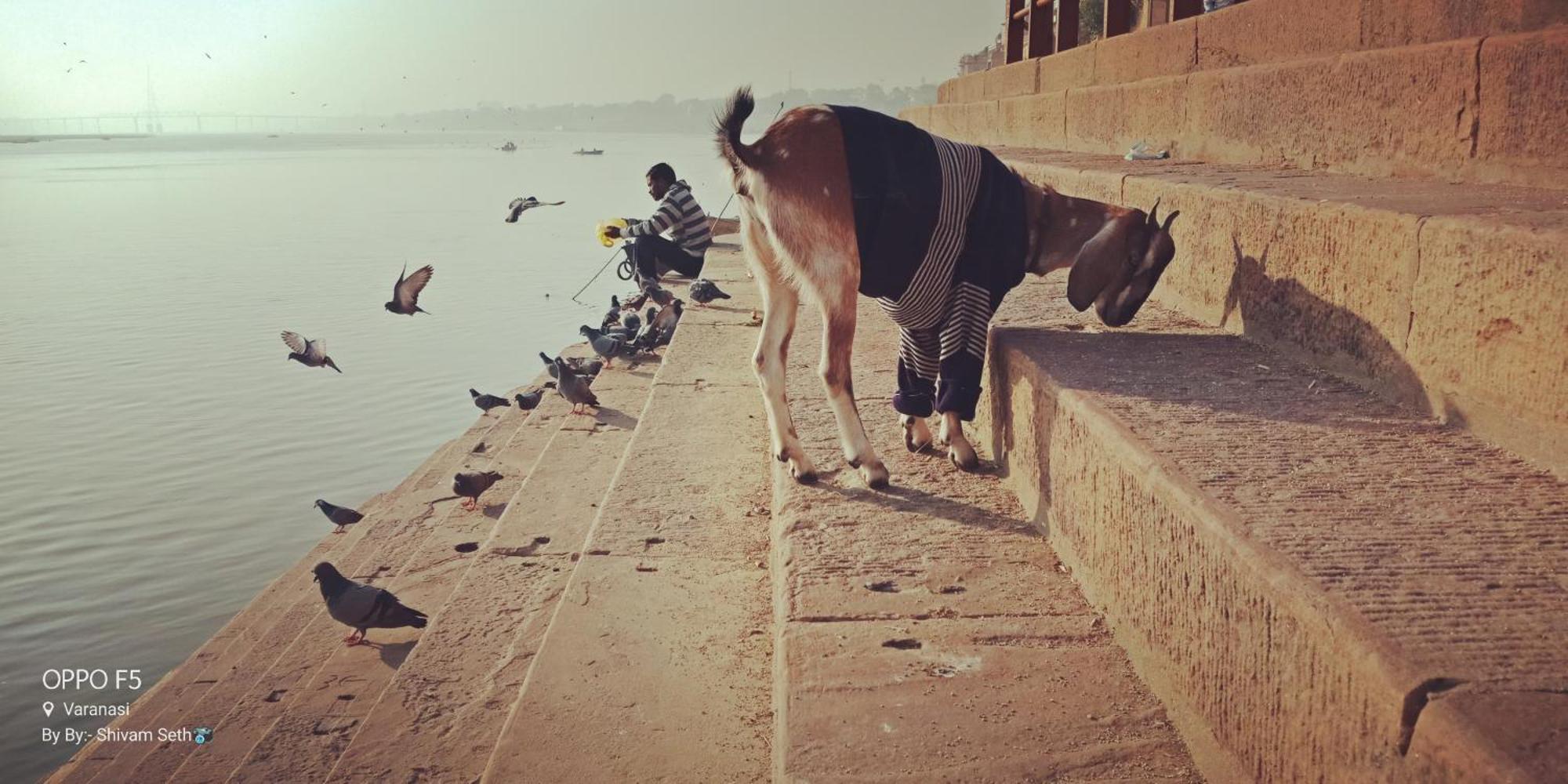 Gokul Grand Hotel Varanasi