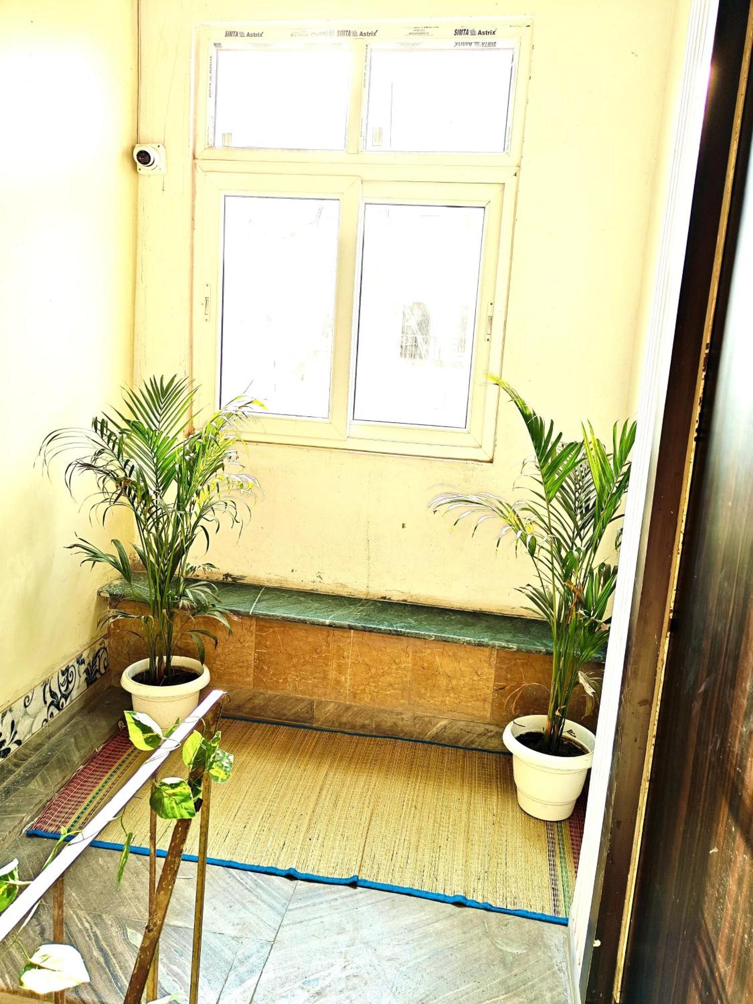 Noor Homestay *