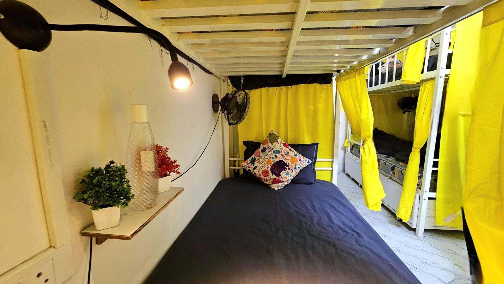 Elephant House - Boutique Hostel