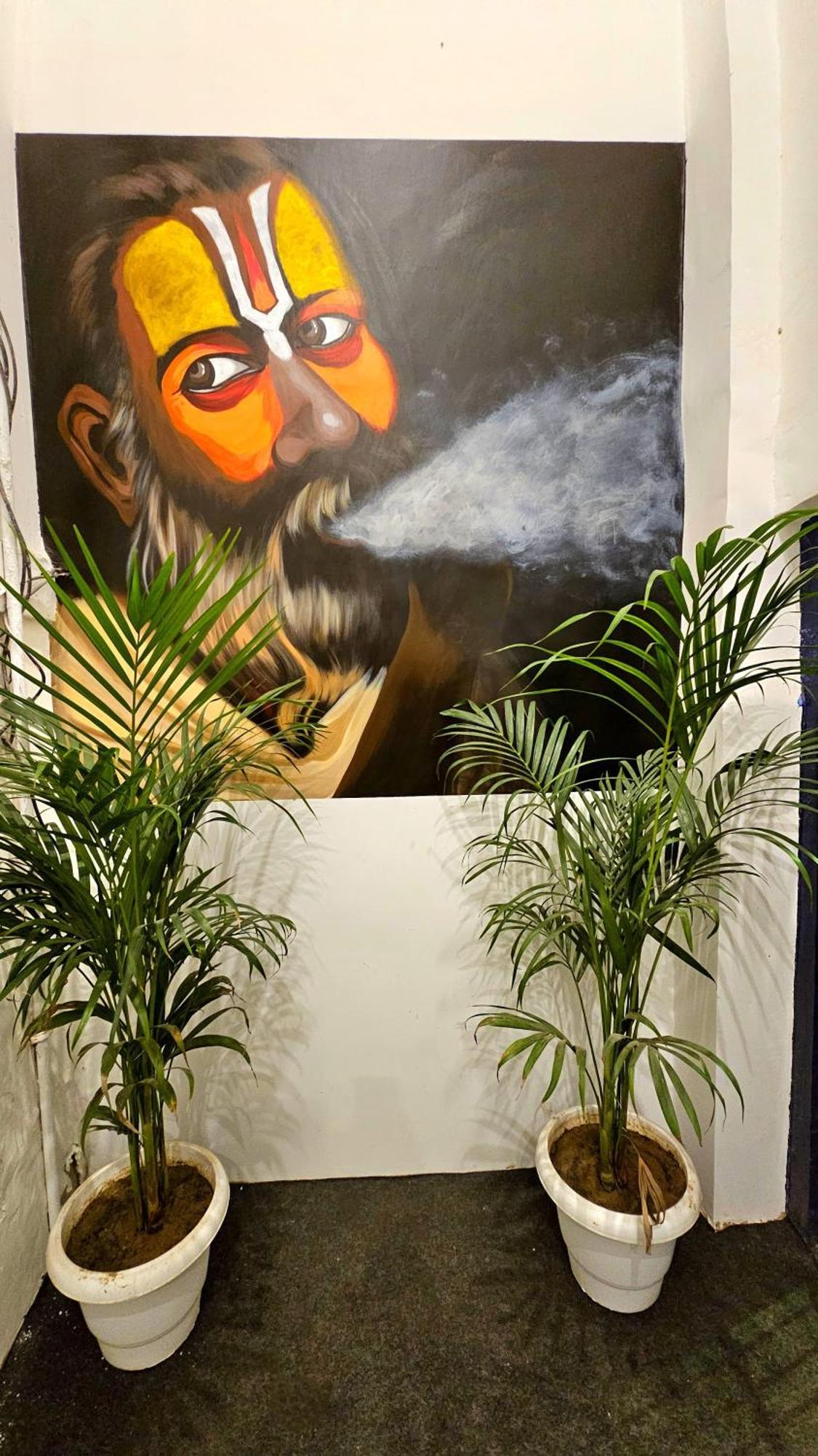 Elephant House - Boutique Hostel *