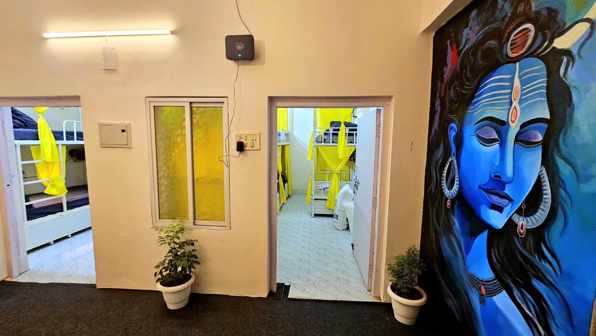 Elephant House - Boutique Hostel