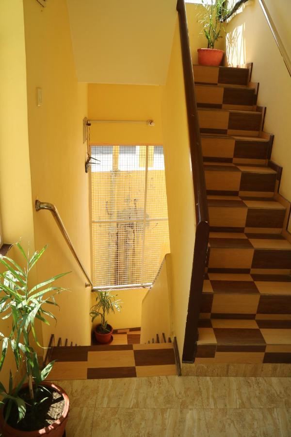 Guest house Tara 2*